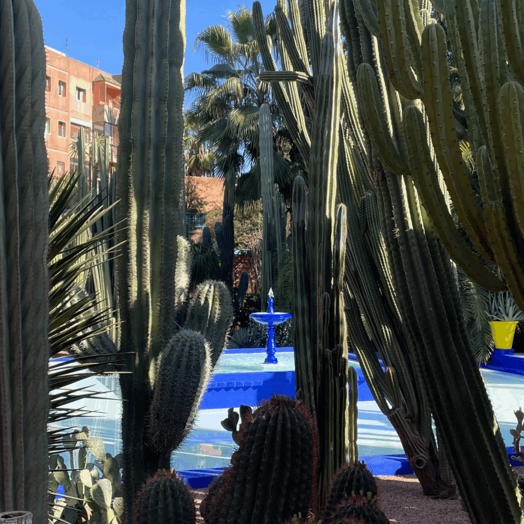 Blue fountain in Le Jardin Marjorelle